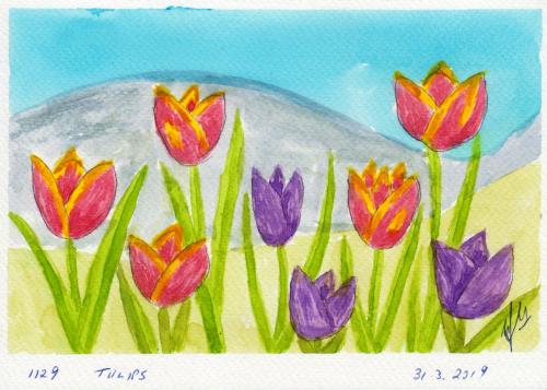 1129-TULIPS