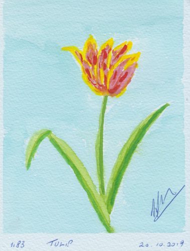 1183-TULIP