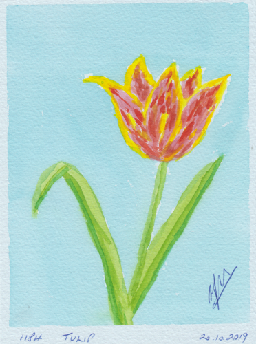 1184-TULIP