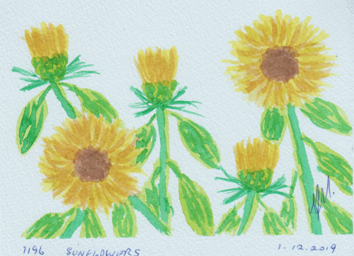 1196-SUNFLOWERS