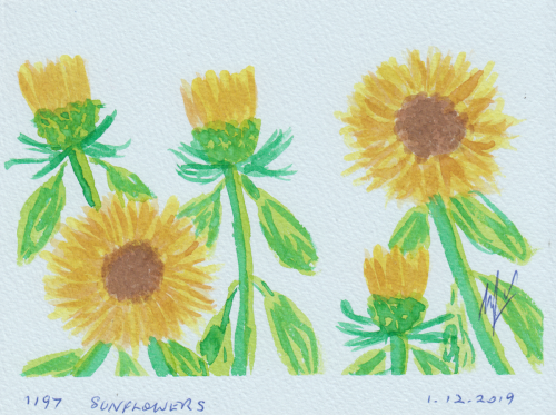 1197-SUNFLOWERS