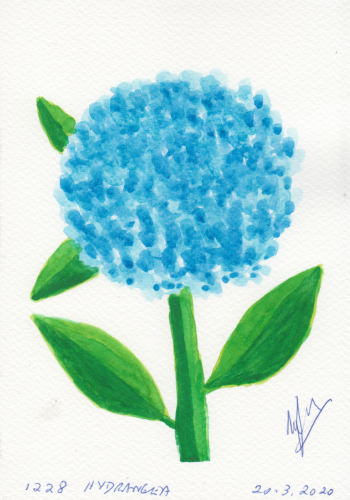 1228-HYDRANGEA