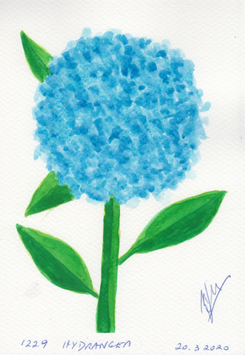 1229-HYDRANGEA