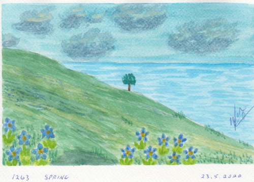 1263-SPRING