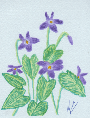 1275-DOG-VIOLET-copy