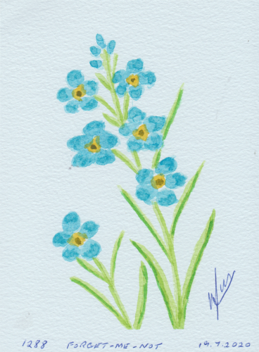 1288-FORGET-ME-NOT