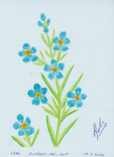 1291-FORGET-ME-NOT