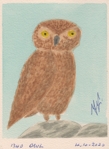 1340-OWL