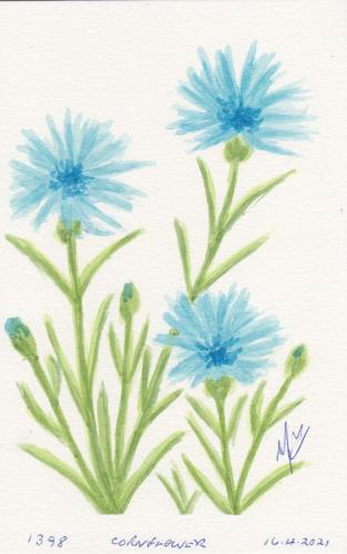 1398-CORNFLOWER