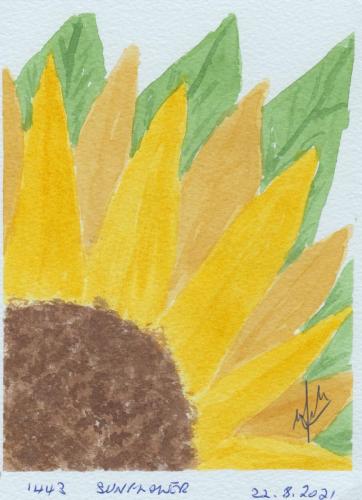 1443-SUNFLOWER