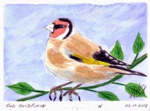 546 GOLDFINCH