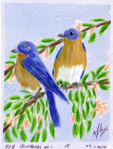558 BLUEBIRDS NO. 1