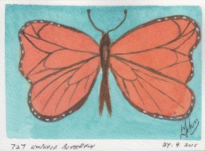 727 EMPEROR BUTTERFLY