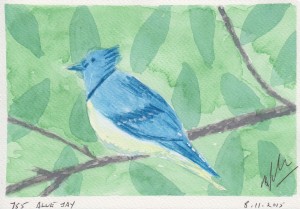 755 BLUE JAY