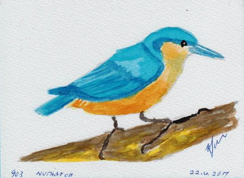 903-NUTHATCH