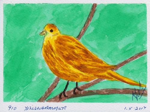 910-YELLOWHAMMER