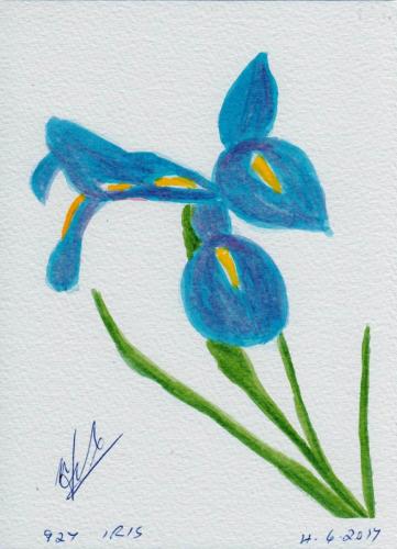 927-IRIS