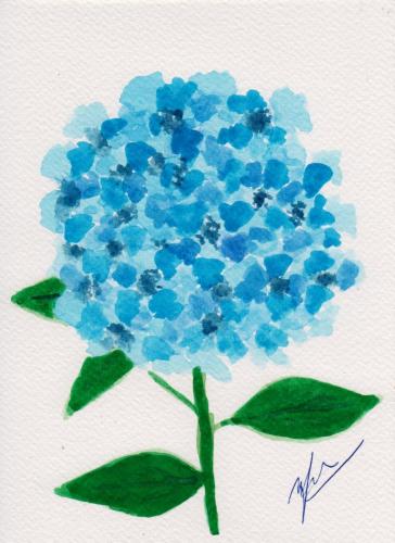 945-HYDRANGEA-copy