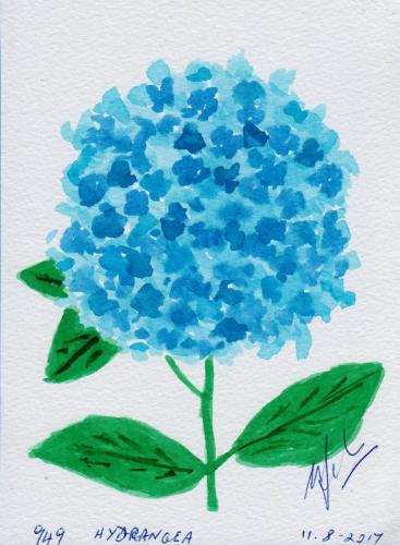 949-HYDRANGEA