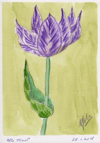 986-TULIP