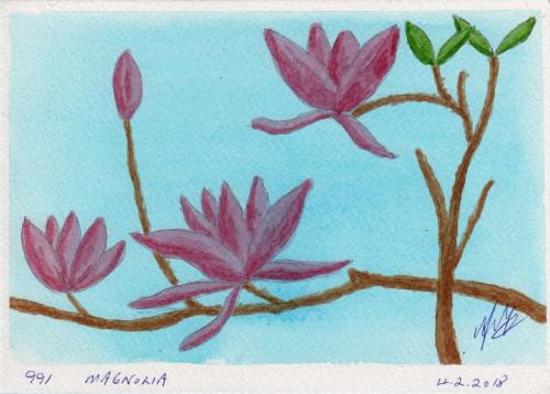 991-MAGNOLIA