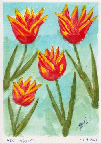 995-TULIP