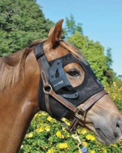 Pferd mit der Johorse Equilume Therapie-Lichtmaske Cashel mit austauschbarem Cup auf der rechten Seite und blauem Licht