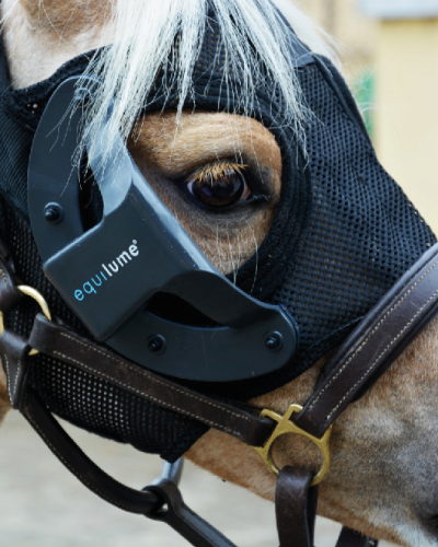 Pony mit der Johorse Equilume Therapie-Lichtmaske Curragh mit wiederaufladbarem Cup auf der rechten Seite