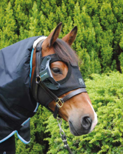 eingedecktes Pferd beim Tragen der Johorse Equilume Therapie-Lichtmaske Curragh mit Cup auf der rechten Seite