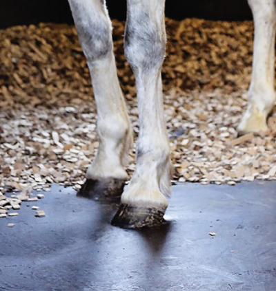 STALLBEDARF JOHORSE STALLEINRICHTUNG EUROPE DEUTSCHLAND