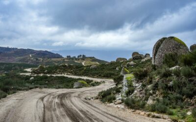 ERC Rally Serras de Fafe | Avond Update Dag2