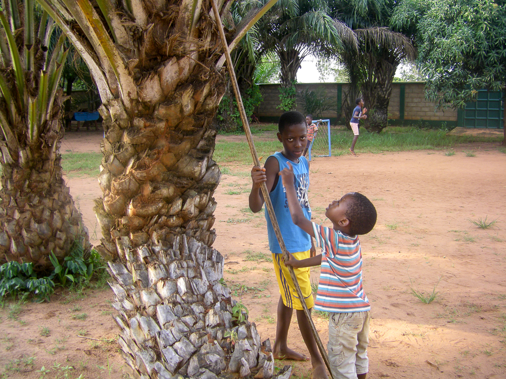 Assou en Felix.