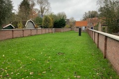 image6