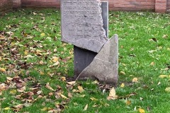 image7