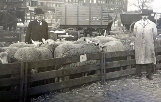 marcusnathanveemarkt