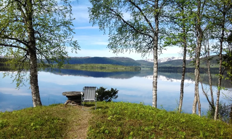 En stol i skuggan av ett träd vid Jormsjön