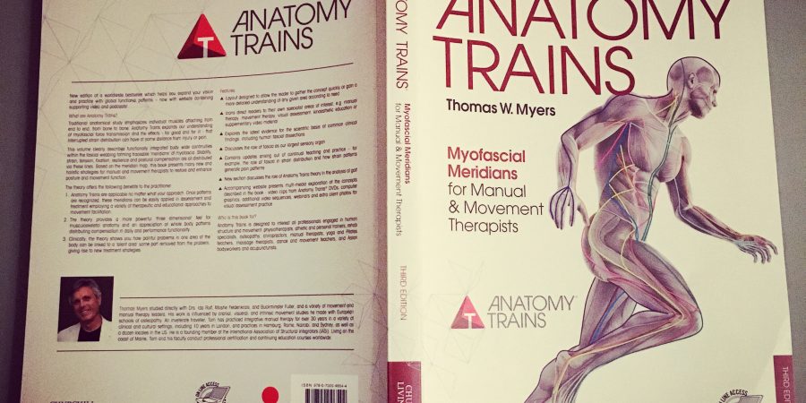Anatomy Trains – Joy of Movement
