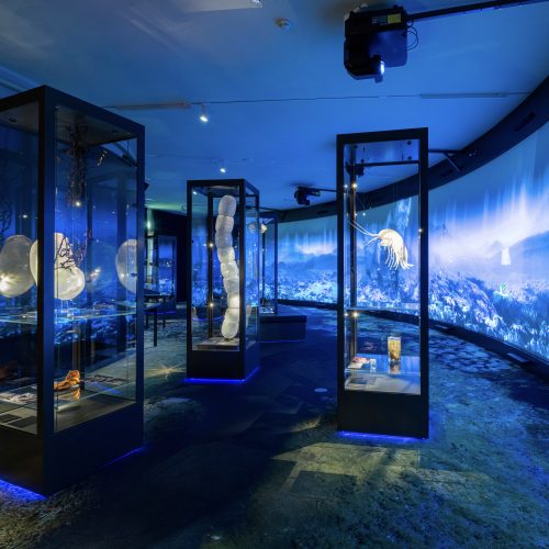 Deep Sea Exhibition at the University Museum in Bergen