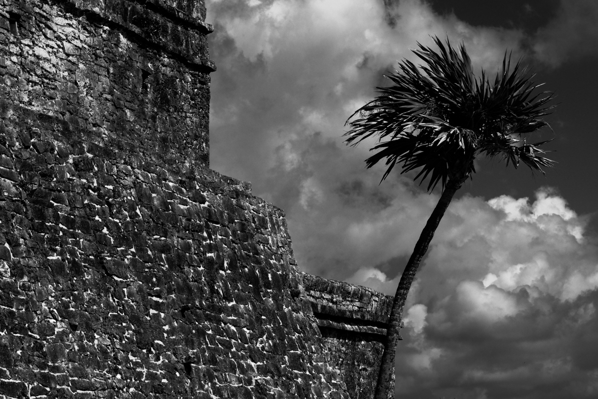 Black and White | Landscape Photography | Mexico | The temple and the tree