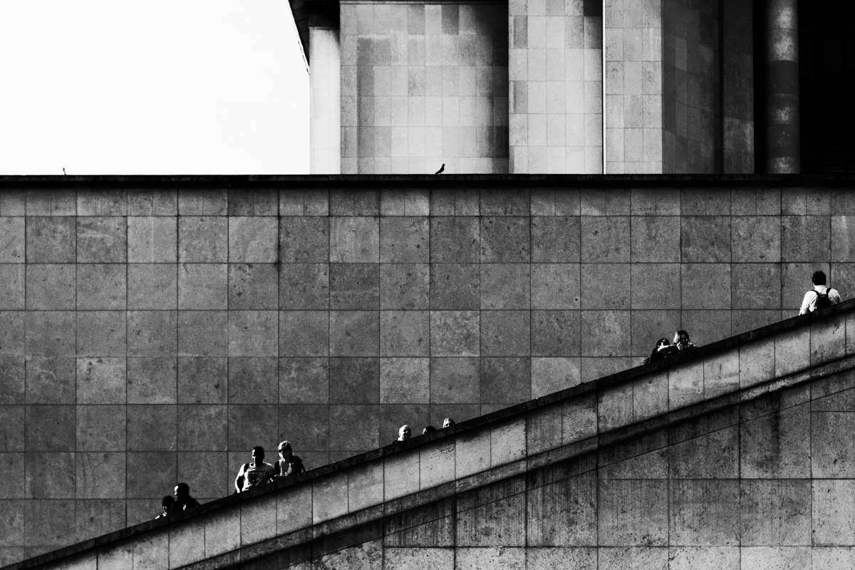 Black and White | Street Photography | Paris | Bird