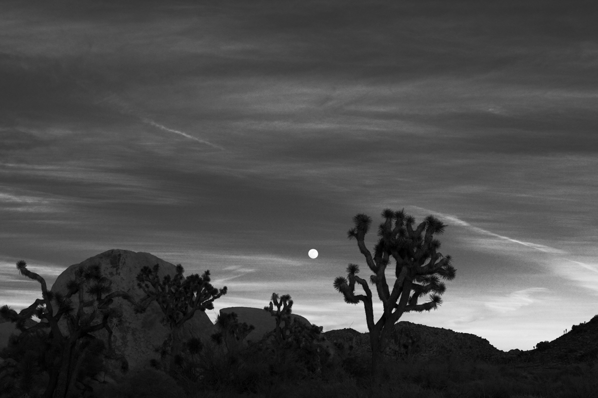 Black and White | Landscape Photography | USA | Moon