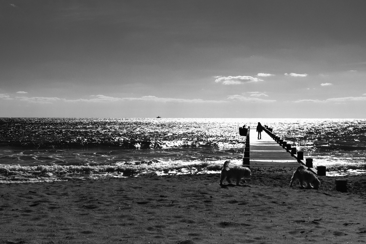 Black and White | Street Photography | Var | Pier