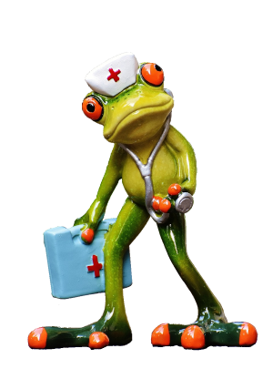 frog-1672942_1920_trans_300x405 frog-1672942_1920_trans_300x405