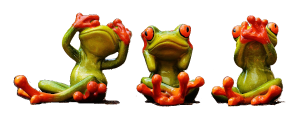 frogs-1274769_1920_trans_300x114 frogs-1274769_1920_trans_300x114