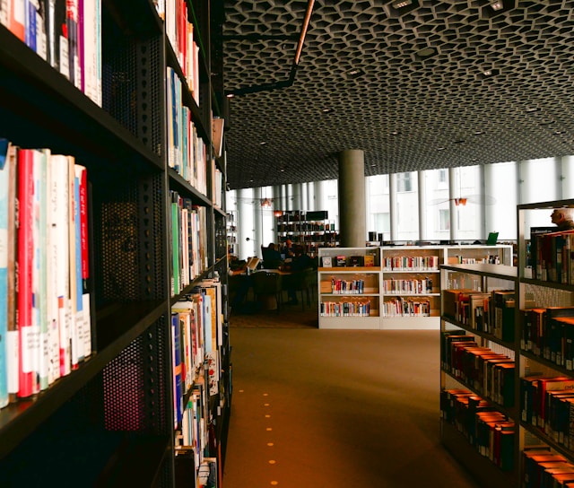 Stigning i udlån fra bibliotekerne i 2023