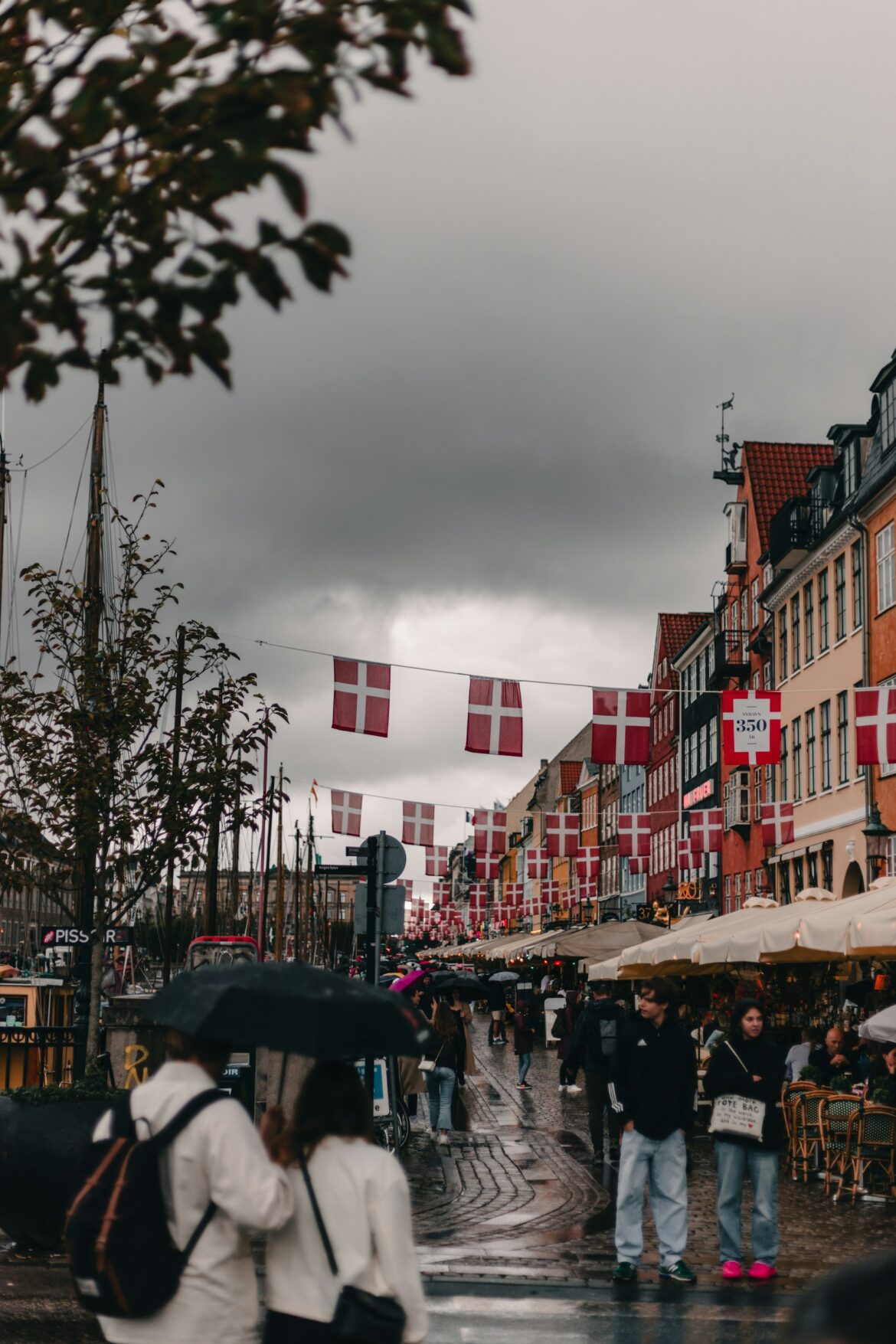 Rejstendens: Tager fra de varmere lande til Danmark