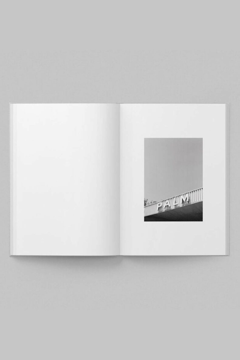 Palm by Richard Stapleton 2 - web