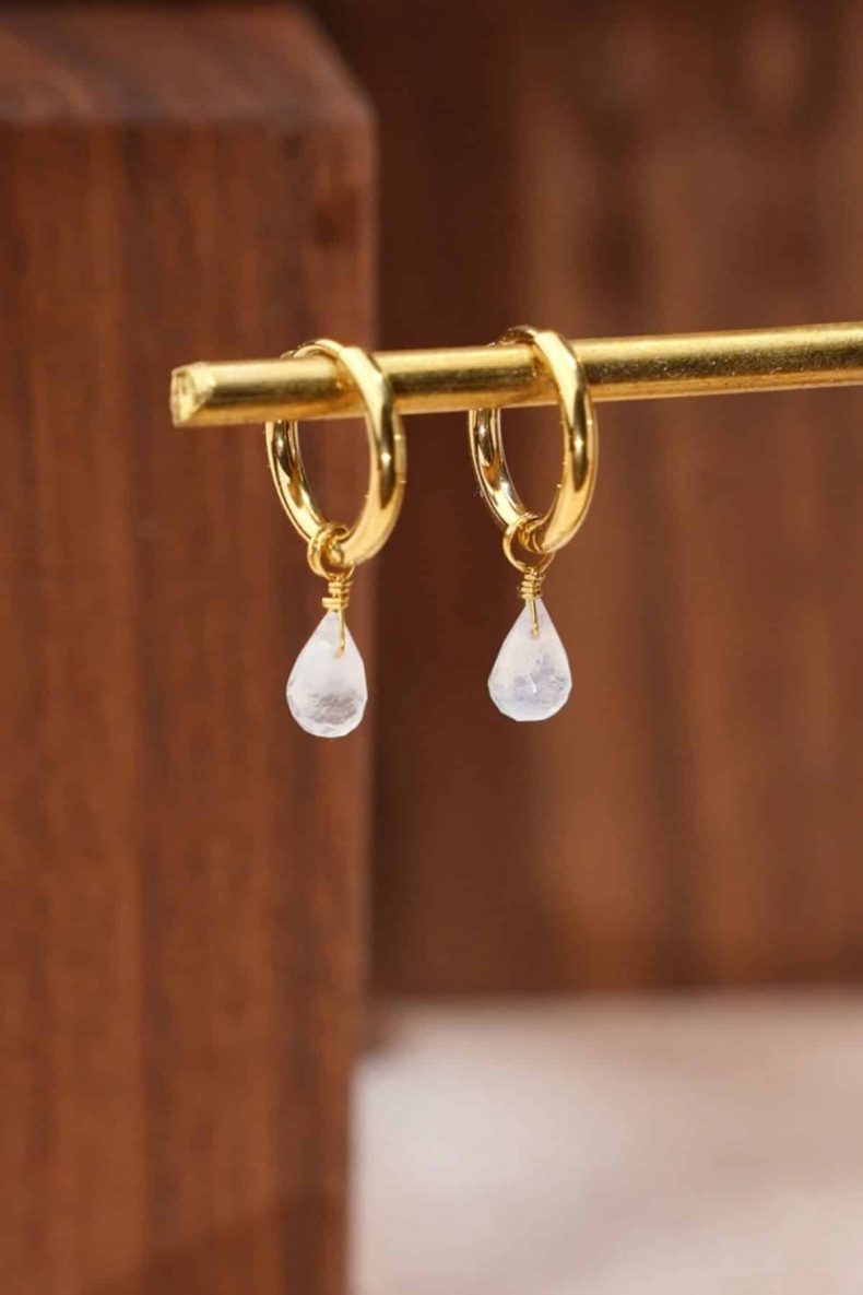 vc crystal earrings