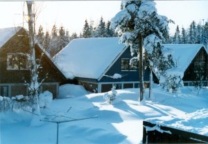 Vy ut mot vår baksida. Garagetaket skymtar i höger hörn