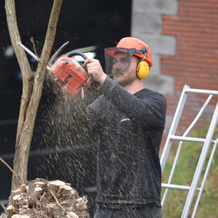 Onze-Diensten-Tuinonderhoud